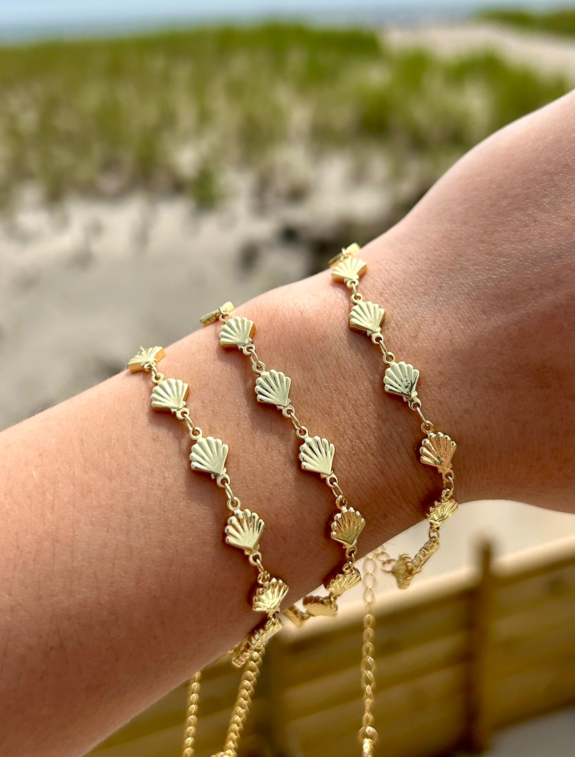 Shell Bracelet