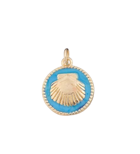 Blue Scallop Shell